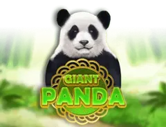 Giant Panda - Jackpoty